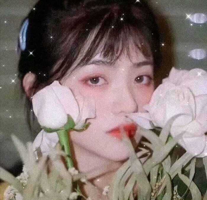 爱丽丝